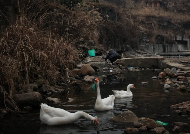 proxmox������